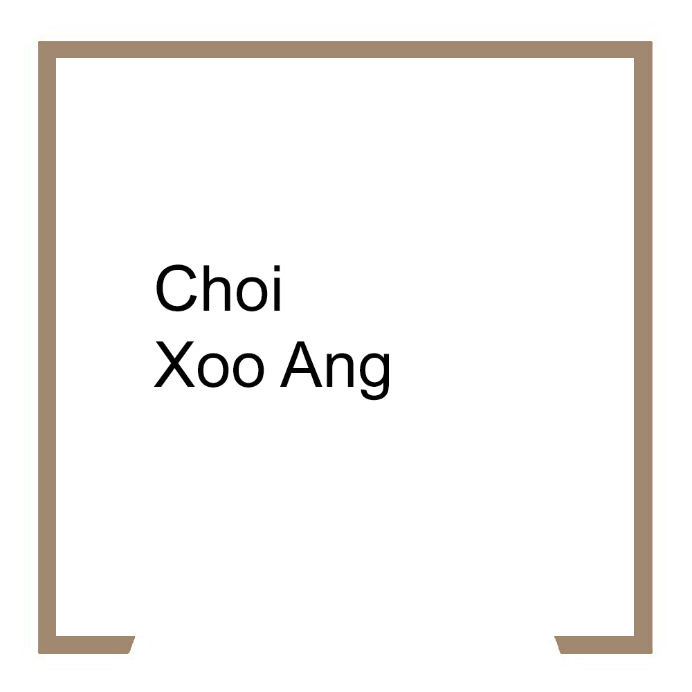 Choi Xoo Ang