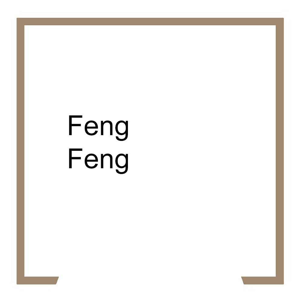 FENG Feng