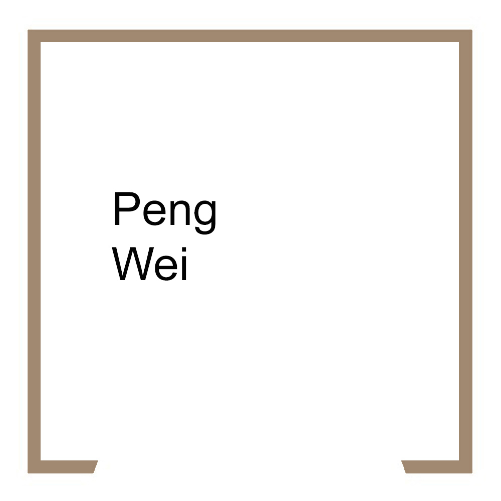 PENG Wei